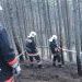 Aljnövényzet égett a fenyvesben 2008.03.19.
