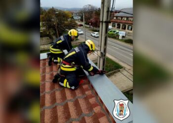 Viharkár Pilisvörösváron a Budai úton