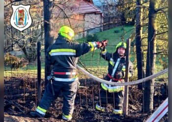 Nagyobb baj is történhetett volna