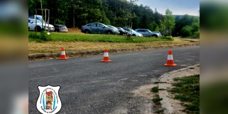 Waldi kupa biztosítás 2023