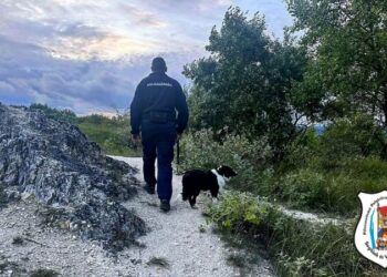 Eltűnt kislány keresése