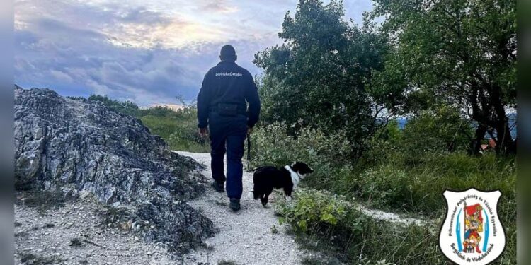 Eltűnt kislány keresése