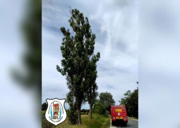 Riasztás Solymárra a 10-es útra