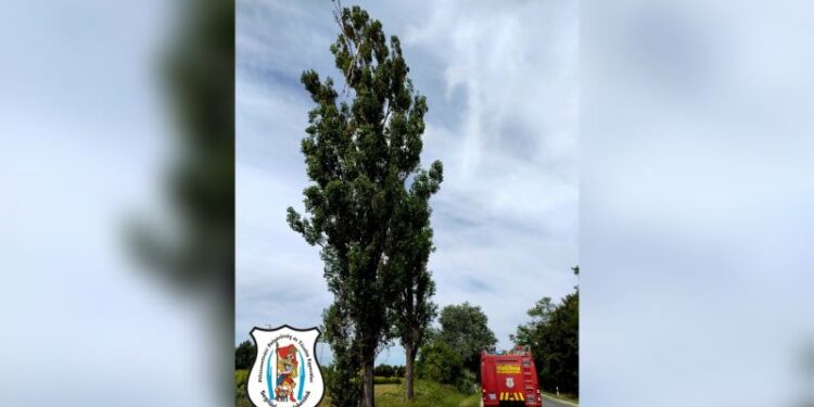 Riasztás Solymárra a 10-es útra