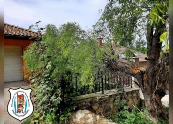 Műszaki mentés Remeteszőlősön