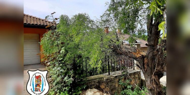 Műszaki mentés Remeteszőlősön