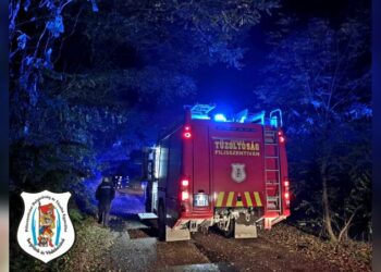 Fakidőlés a Laki úton