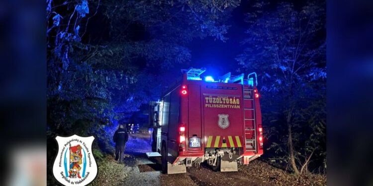 Fakidőlés a Laki úton