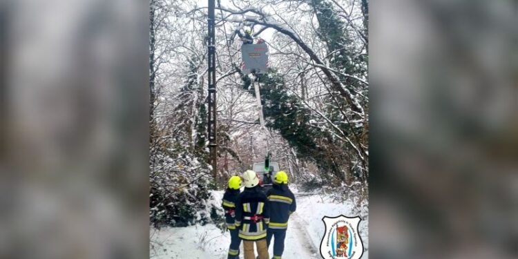Megdőlt fák adtak munkát