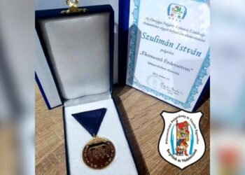 Életmentő érdemérmet vehetett át