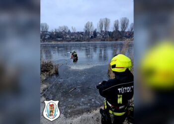 Élet hozta gyakorlat