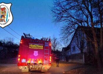 Favágások adtak munkát