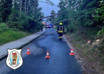 Fakidőlés a József Attila utcában