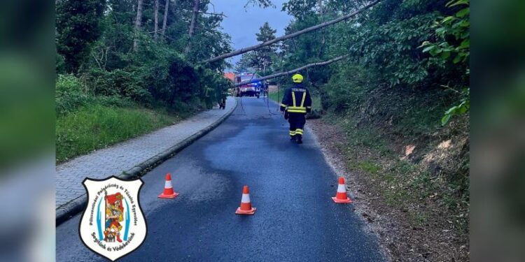 Fakidőlés a József Attila utcában