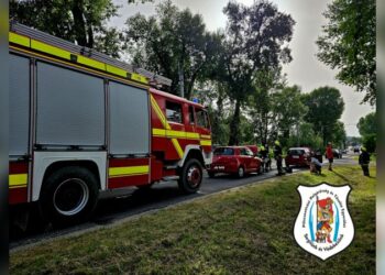 Baleset a Csali Csárda előtt