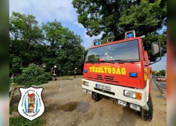 Faág hasadt le a Szabadság úton