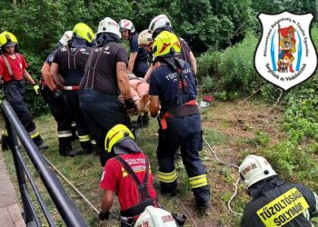 Mentőcsoportok minősítő vizsgája