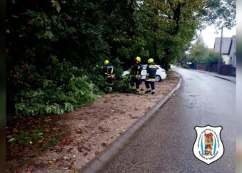 Favágások településünkön