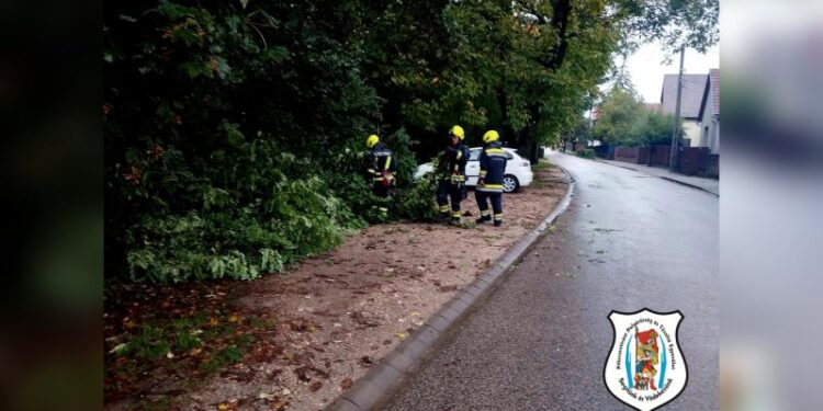 Favágások településünkön