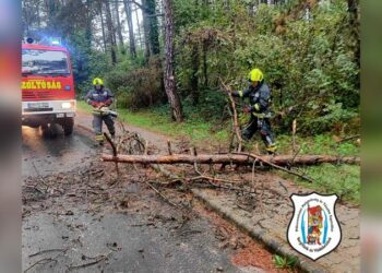 Újabb fakidőlés adott munkát