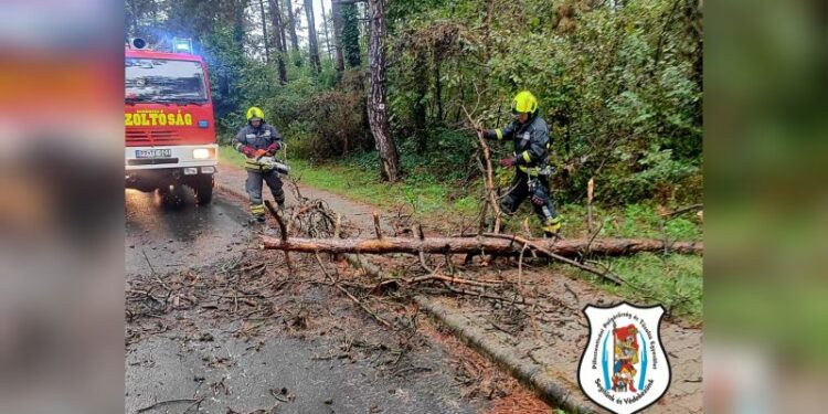Újabb fakidőlés adott munkát