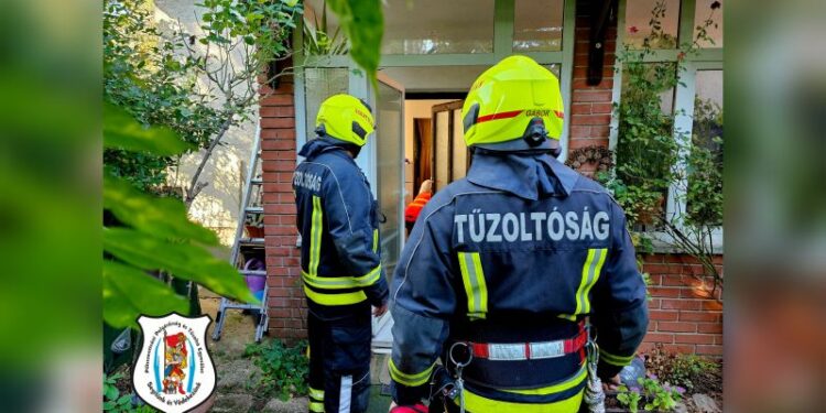 Ajtónyitás, ezúttal a Fenyves utcában