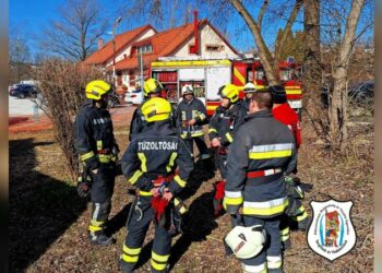 Gyakorlat március 1-jén