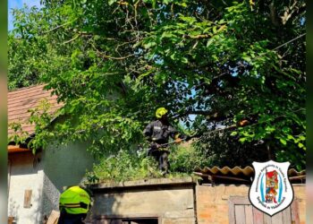 Több faág lehasadt a Szabadság Úton