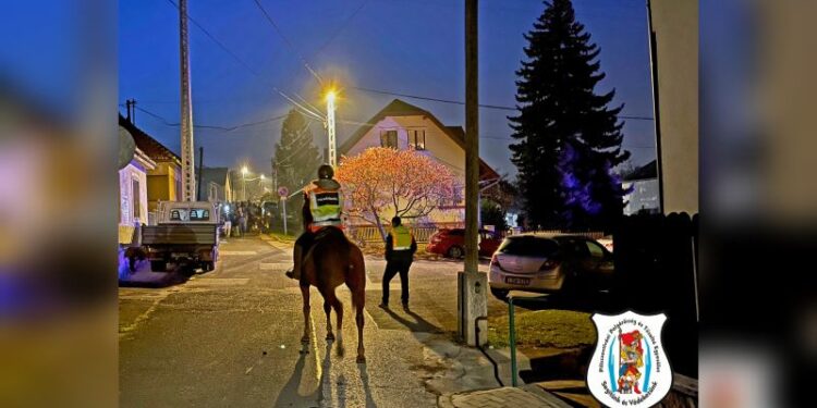 Márton napi biztosítás