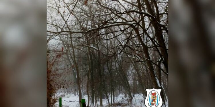 Faág hasadt villanyvezetékre