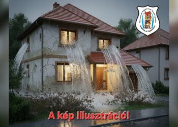 Figyelmes szomszéd, szakszerű segítség