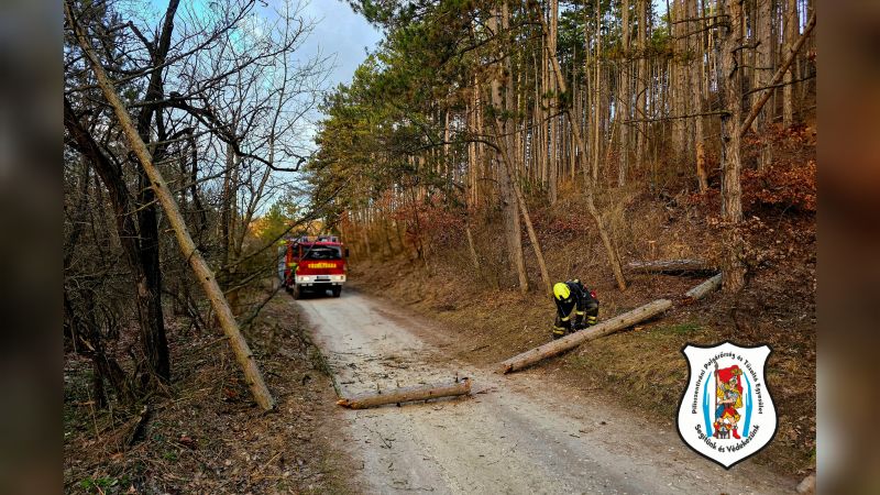 Polish_20260309_101257569kep