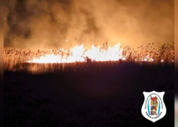 Nádastűz Pilisvörösváron