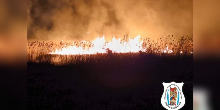 Nádastűz Pilisvörösváron