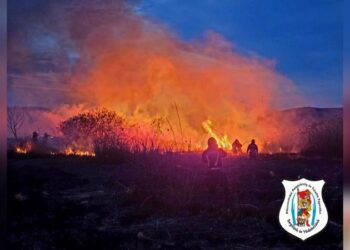 Újabb nádastűz Vörösváron