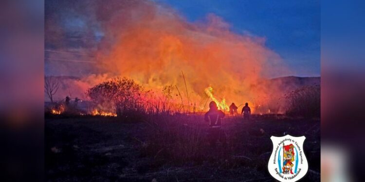 Újabb nádastűz Vörösváron