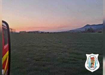 Nádas égett Solymáron is