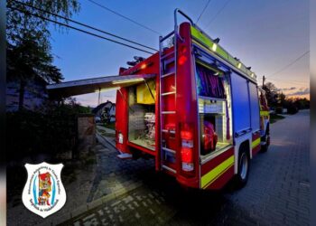 Tuja gyulladt meg Vörösváron