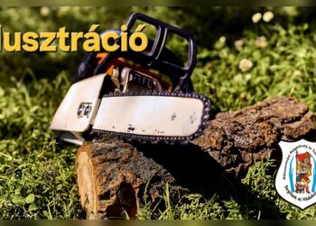 Fa dőlt a szomszéd házra