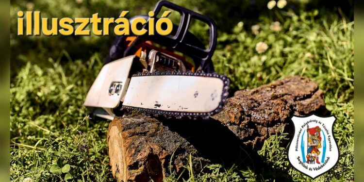 Fa dőlt a szomszéd házra