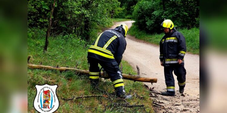 Fakidőlés a Sport tér közelében