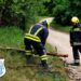 Fakidőlés a Sport tér közelében