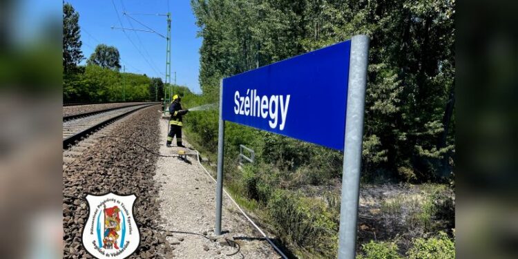 Erdőtűz Solymáron