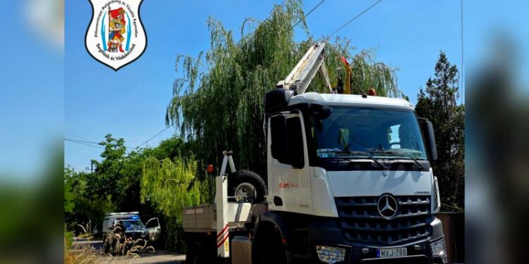 Vezetékbe nőtt a fa