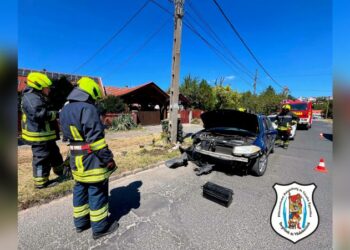 Oszlopnak hajtott a Renault